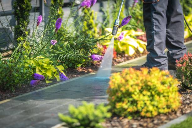 Best Sidewalk and Walkway Cleaning  in June Park, FL