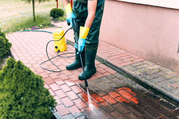 Best Building Exterior Washing  in June Park, FL